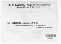 Image Associated With the Occurence